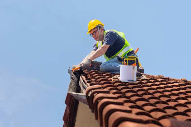 Best Roof Moss and Algae Removal  in Loganville, PA